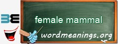 WordMeaning blackboard for female mammal